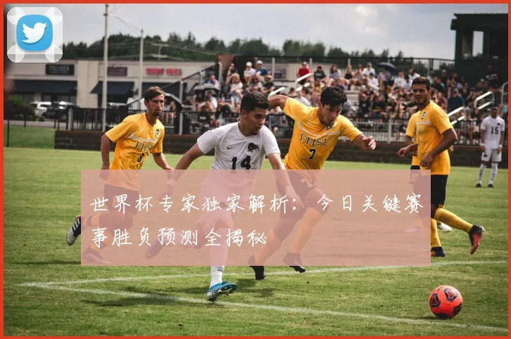 世界杯专家独家解析：今日关键赛事胜负预测全揭秘